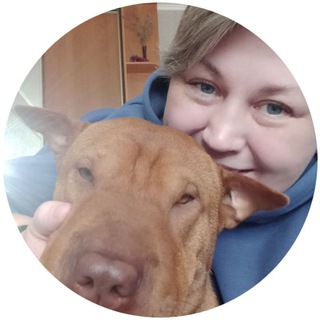 Логотип @sharpei_bruny - СОБАЧЬЯ ЖИЗНЬ С БРУНЕЙ