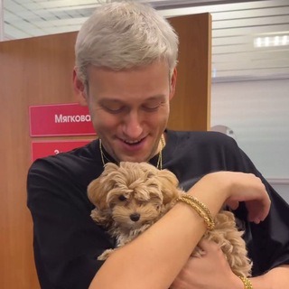 Логотип @shastologia - антон 200 метров от вас