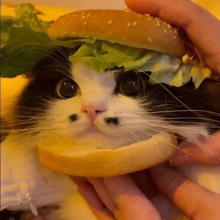 Логотип @shaurmenervbl - Шаурменевры