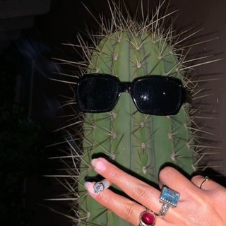 Логотип @shbtlkng - говорящая шуба