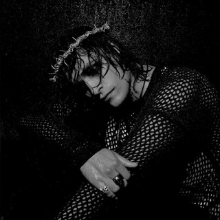 Логотип @sheblinafan - в гостях у sheblinafan