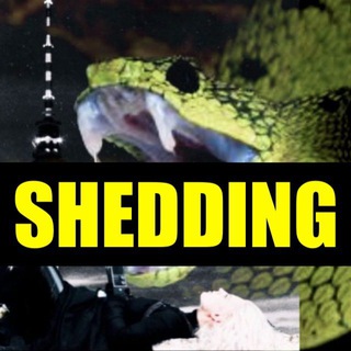 Логотип @sheddingberlin - SHEDDING⚠️TOXIC SPIKES⚠️IMPFGERUCH⚠️5G