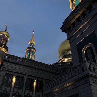 Логотип @sheikhtazu - 𝗦𝗛𝗘𝗜𝗞𝗛𝗧𝗔𝗭𝗨ོ