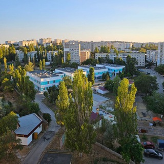 Логотип @shelkino - Щелкино