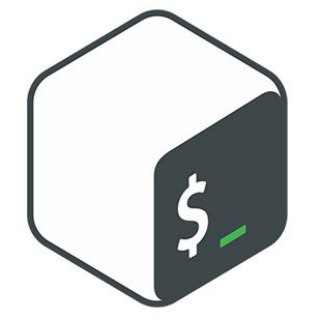 Логотип @shellscripts - Shell Scripts