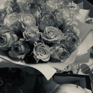 Логотип @shellstari - bheart