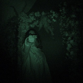 Логотип @shelovesdesuwize - desuwize