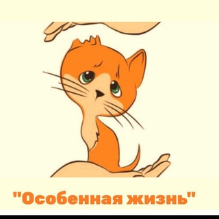 Логотип @shelter_life_cats - Животные Ростов, Волноваха, Мариуполь. Корм, лечение, поиск дома.