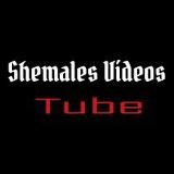 Логотип @shemalesvideostube1 - Shemales videos tube