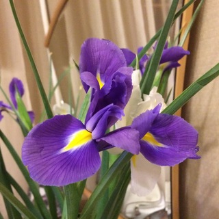 Логотип @shemka - Творчество и рукоделие