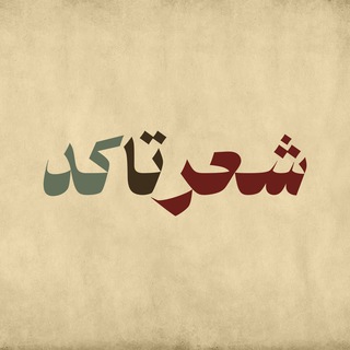 Логотип @sher_ta_code - She'r ta Code