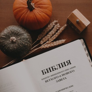 Логотип @shereadsbible - она читает Библию