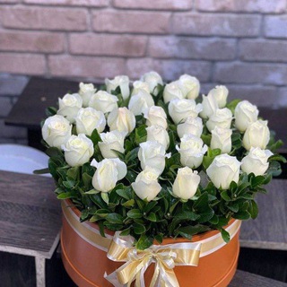 Логотип @sheriyatgaoshiqlar - Шеъриятга ошиқлар