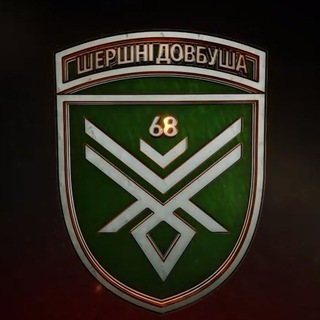 Логотип @shershni68 - Шершні Довбуша 🐝💣