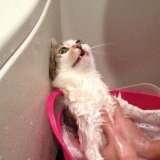 Логотип @sherstyanie_ubludki - Шерстяные ублюдки