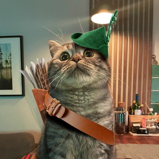 Логотип @sherstyanoypidaras - НПШП