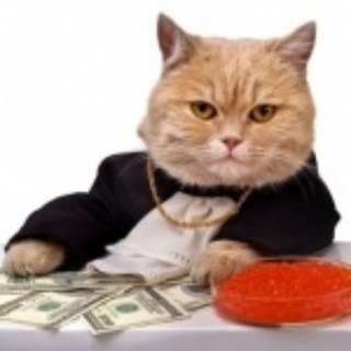 Логотип @sherstyanyee - Шерстяные