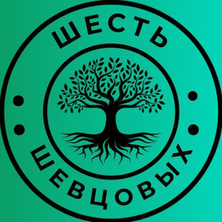 Логотип @shevtsovmd - Шесть Шевцовых