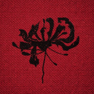 Логотип @sheydov - sheydov