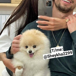 Логотип @sheykha2299 - ❶꯭➤꯭҈🇺🇿🔱❃꯭O'zbekiᏚ꯭ton꯭🔱🌷❃҈🇺🇿