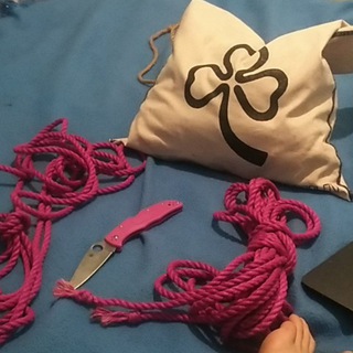 Логотип @shibari_clover - 💚Розумна Кловер💚