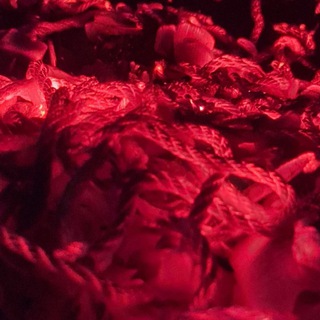 Логотип @shibari_rip - Поборник радикальной толерантности 18+