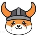 Логотип @shibqtnet - Flokiqtnet