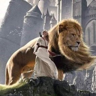 Логотип @shieldmaiden17_q - ShieldMaiden17 Q