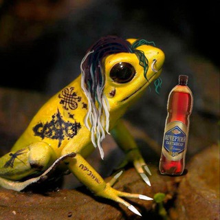 Логотип @shimanskayaaaa - Шиманская орёт | «Мертвые земли Эдеса»