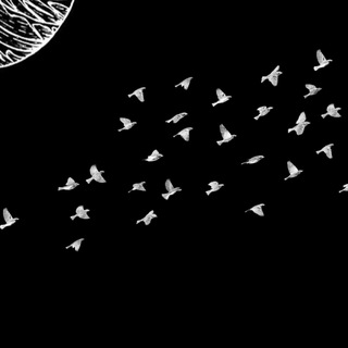 Логотип @shinjiki_ru - записи о деяниях современности