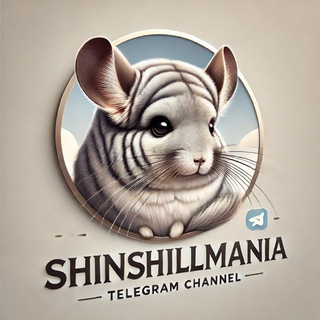 Логотип @shinshillmania - 🥰ChinchillMania🥰