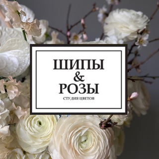 Логотип @shipirozi - Шипы и Розы