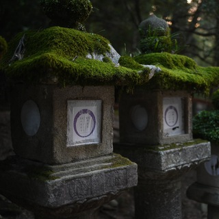 Логотип @shipsandshrines - Святилища и корабли