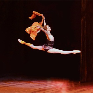 Логотип @shipulinaekaterina - Primabalerina
