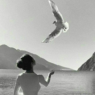 Логотип @shirin_orzularim_mani - Yolg'izim.tv❤