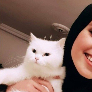 Логотип @shiringaaaa - Shiringa...)