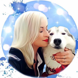 Логотип @shiryaeva2014 - 💙ШАРАМЫГА У ПЛИТЫ💙