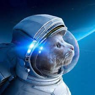 Логотип @shishigroup - ШиШи - чатик