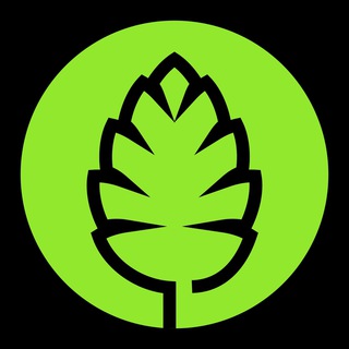 Логотип @shishka_zhuk - ШИШКА Паб (г. Жуковский)