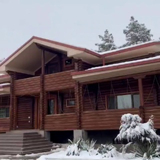 Логотип @shishkindom_uz - 🌲Шишкин Дом🌲