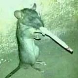 Логотип @shit_postingg - SHIT_POST