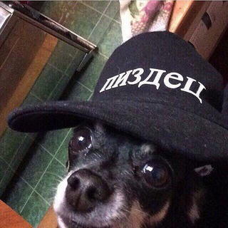 Логотип @shit_rf - РФ
