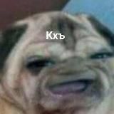 Логотип @shit_songs - Хранилище