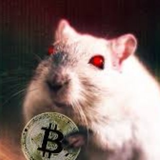 Логотип @shitcoin_collection - Shitcoins collection