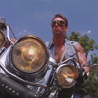 Логотип @shitnippost - 🇺🇦🇮🇱 Shitnippost 音MAD / Фуллы Гачимучи