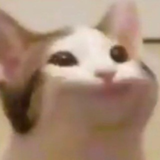 Логотип @shitpost_status - shitpost status