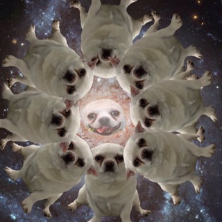 Логотип @shittydirector - всратый режиссер