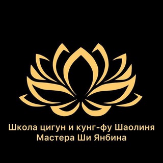 Логотип @shiyanbin - Новости Школы Мастера Ши Янбина