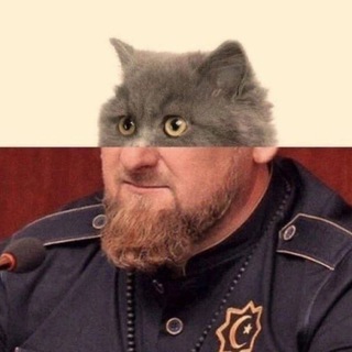 Логотип @shizadon - у тебя шизофрения по-моему