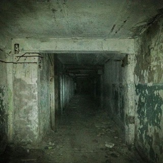 Логотип @shizamoment18chat - Подвал дяди Григория